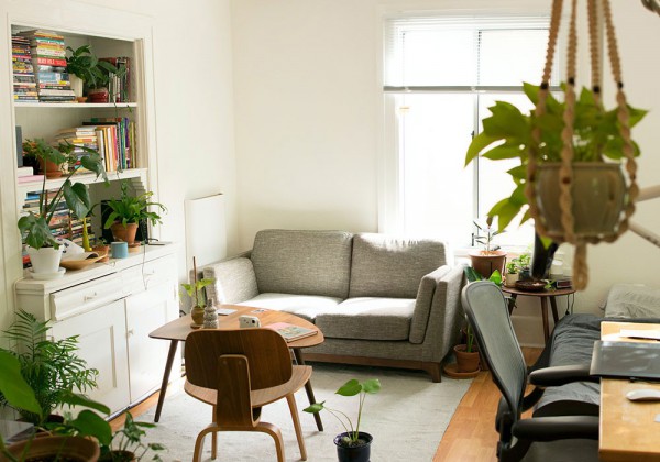 Reading room with many trees, the trend of the future